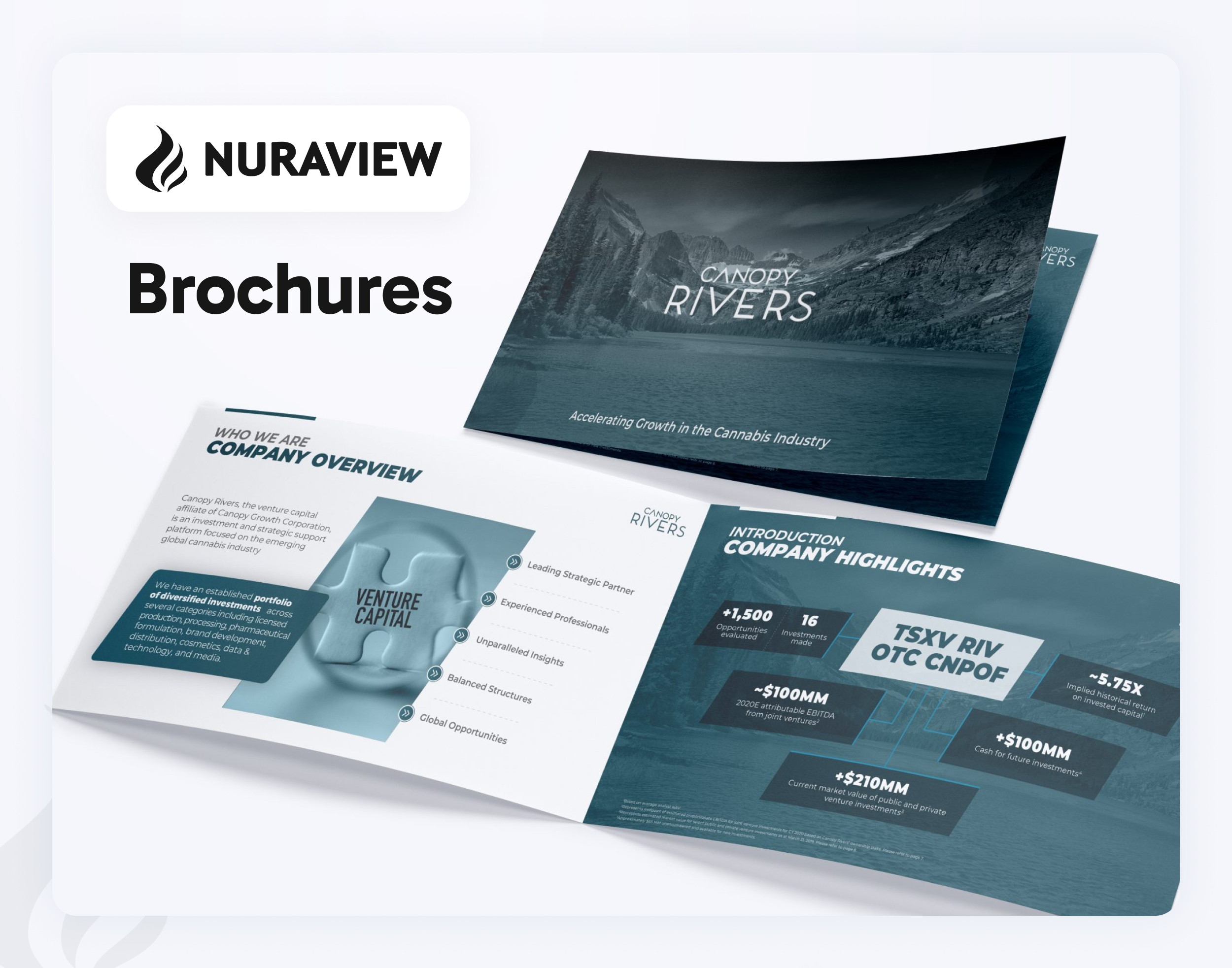 Brochure Work #4